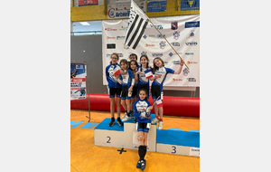 Championnats de France indoor