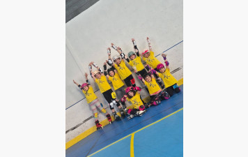 Kids roller Vannes